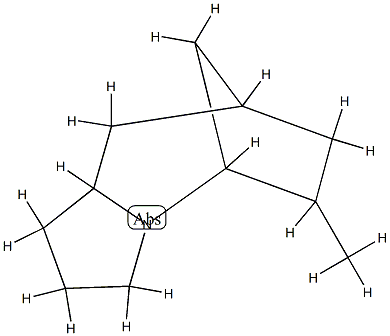 5,8-Methano-1H-pyrrolo[1,2-a]azepine,octahydro-6-methyl-(9CI) 结构式