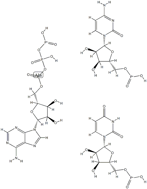 adenosine triphosphate-uridine monophosphate cytidine monophosphate 结构式