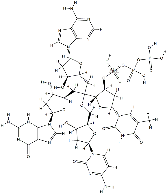 deoxy-(adenylyl-guanylyl-cytidylyl-thymidine) 结构式