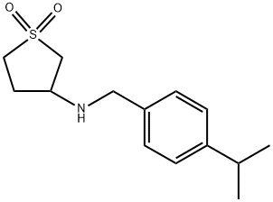 3-({[4-(propan-2-yl)phenyl]methyl}amino)-1$l^{6}-thiolane-1,1-dione 结构式