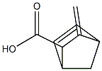 5-Norbornene-2-carboxylicacid,3-methylene-(6CI) 结构式