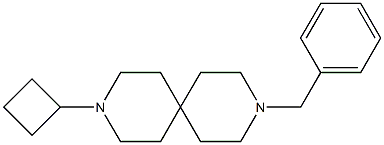 3-BENZYL-9-CYCLOBUTYL-3,9-DIAZASPIRO[5.5]UNDECANE 结构式