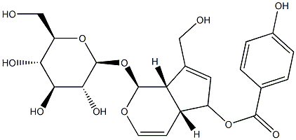 6-O-P-HYDROXYBENZOYLAUCUBIN 结构式