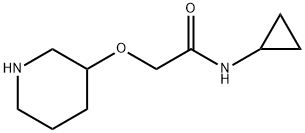 N-cyclopropyl-2-(piperidin-3-yloxy)acetamide 结构式