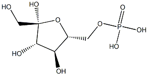 (1R,4S)-(S)-BicalutaMide Sulfide CaMphanic Acid Ester 结构式