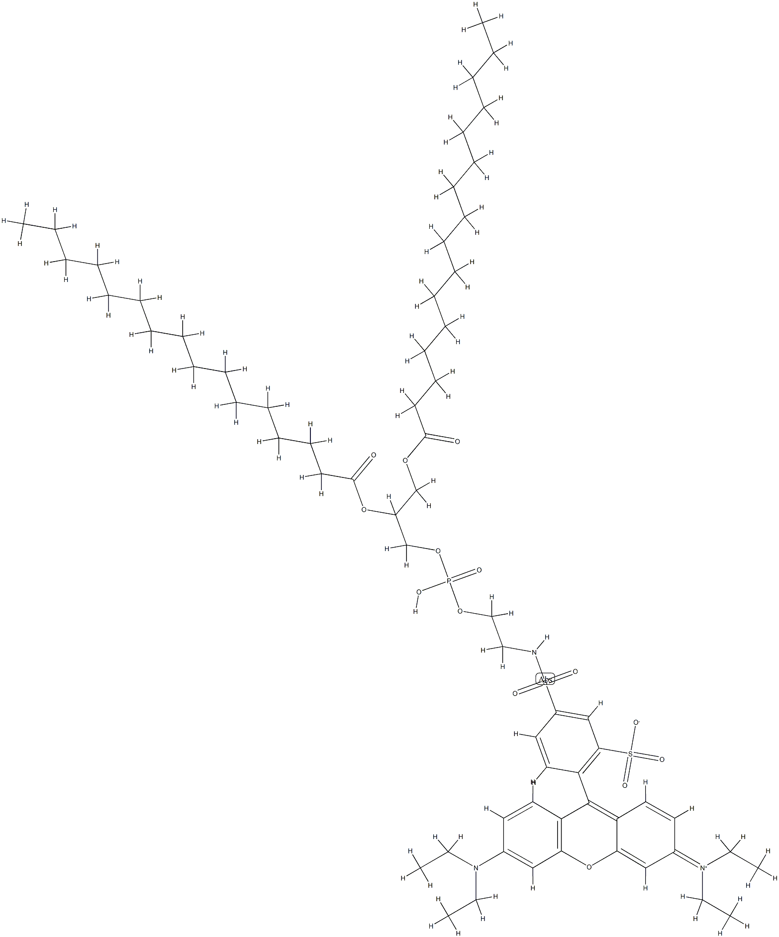 N-(lissamine-rhodamine B sulfonyl)-1,2-dipalmitoylphosphatidylethanolamine 结构式