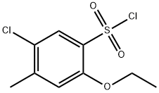 5-氯-2-乙氧基-4-甲基苯磺酰氯 结构式