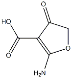 3-Furancarboxylicacid,2-amino-4,5-dihydro-4-oxo-(9CI) 结构式