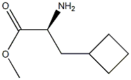 S-2-环丁基丙氨酸甲酯 结构式