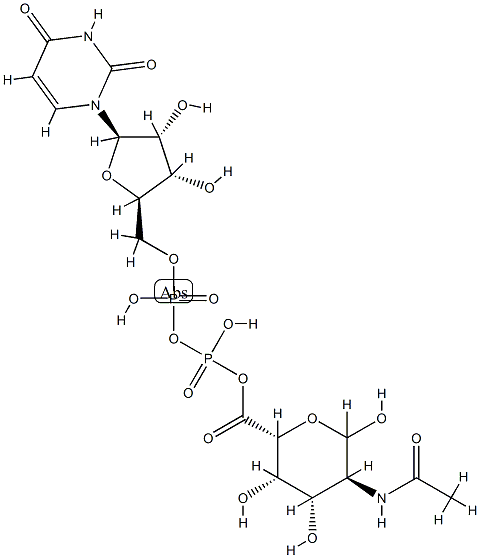 UDP-2-acetamido-2-deoxygalacturonic acid 结构式