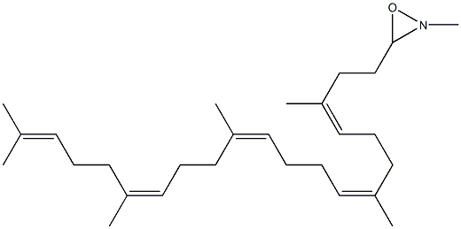 squalene N-methyloxaziridine 结构式