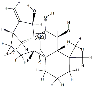 Kaur-16-en-20-oic acid,6,7,7,14,15-pentahydroxy-, 20,7-lactone, (6b,7a,14R,15b)- 结构式