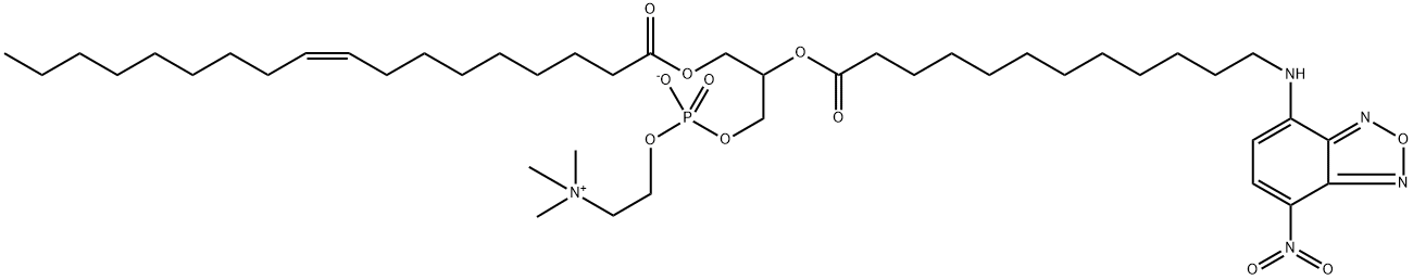 1-oleoyl-2-(12-((7-nitro-2,1,3-benzoxadiazol-4-yl)amino)dodecanoyl)phosphatidylcholine 结构式