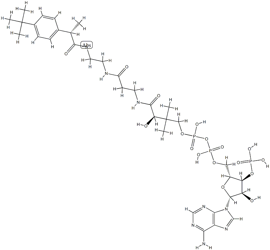 ibuprofenyl-coenzyme A 结构式