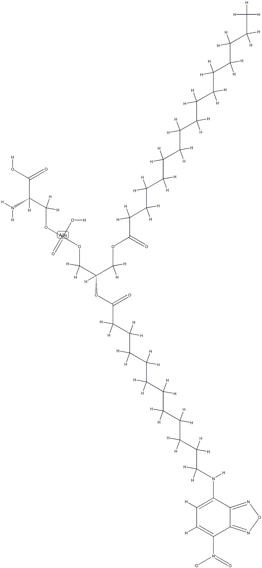 (1-Palmitoyl-2-nbd-aminododecanoyl)phosphatidylserine 结构式