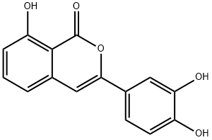 thunberginol A 结构式