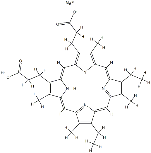 magnesium mesoporphyrin 结构式