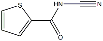 2-Thiophenecarboxamide,N-cyano-(9CI) 结构式