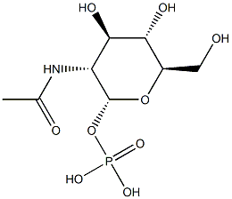 poly(N-acetylglucosamine 1-phosphate) 结构式