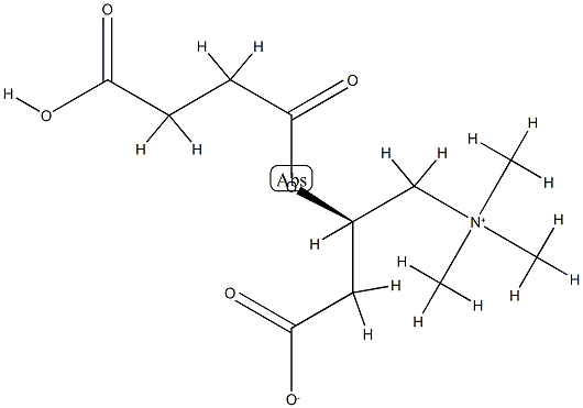 Succinyl Carnitine Chloride Salt 结构式