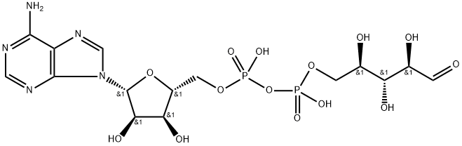 Poly Adenosine Diphosphate Ribose 结构式