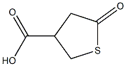 5-氧代四氢噻吩-3-羧酸 结构式