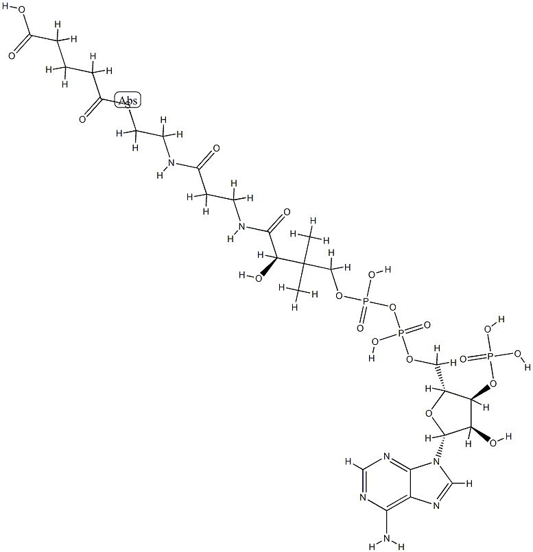 glutaryl-coenzyme A 结构式