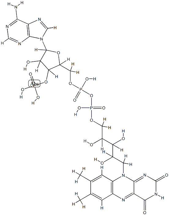 flavin-adenine dinucleotide phosphate 结构式