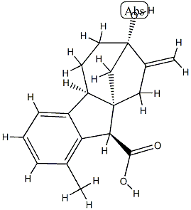 别赤霉低酸 结构式