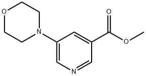 Methyl 5-Morpholinonicotinate 结构式