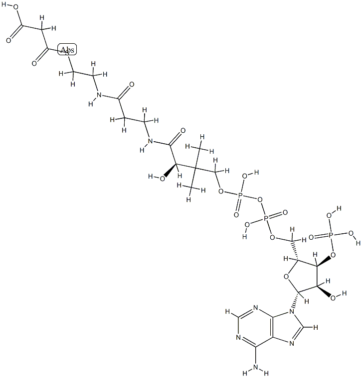 丙二酰辅酶A-钠盐 结构式