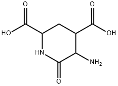 2,4-Piperidinedicarboxylicacid,5-amino-6-oxo-(9CI) 结构式