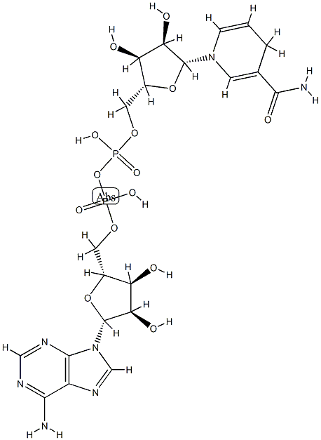 辅酶NADH 结构式