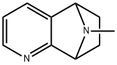 5,8-Iminoquinoline,5,6,7,8-tetrahydro-9-methyl-(9CI) 结构式