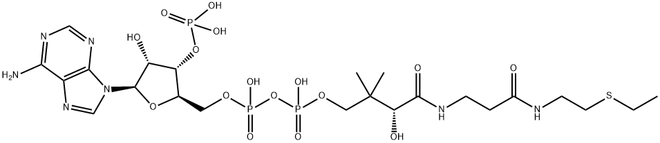 ethyl-coenzyme A 结构式