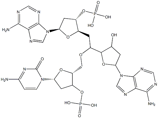deoxyadenylyl-(3'-5')-deoxycytidylyl-(3'-5')-deoxyadenosine 结构式