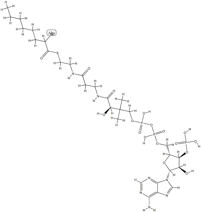 2-bromooctanoyl-coenzyme A 结构式