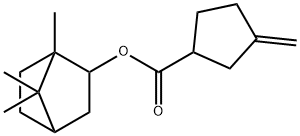 1,7,7-Trimethylbicyclo[2.2.1]heptan-2-yl=3-methylenecyclopentanecarboxylate 结构式