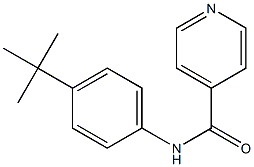 4-Pyridinecarboxamide,N-[4-(1,1-dimethylethyl)phenyl]-(9CI) 结构式