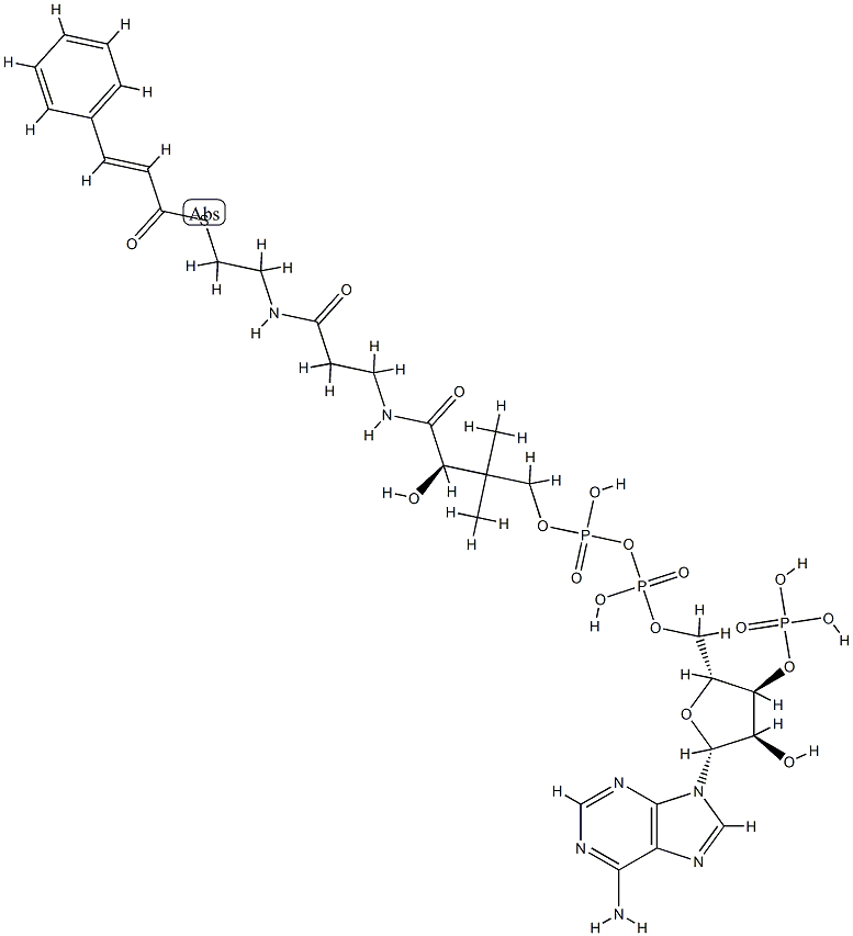 肉桂酰-辅酶 A 结构式