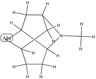 2,5-Methanothiopyrano[3,2-b]pyrrole,octahydro-1-methyl-(9CI) 结构式