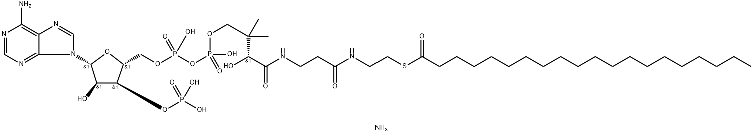 二十酰 辅酶 A (铵盐) 结构式