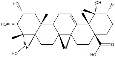 2ALPHA,3ALPHA,19ALPHA,23-四羟基乌苏-12-烯-28-酸 结构式