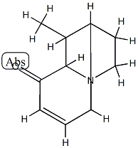 1,5-Methanoindolizin-6(5H)-one,1,2,3,8a-tetrahydro-9-methyl-,(1-alpha-,5-alpha-,8a-bta-,9R*)-(9CI) 结构式