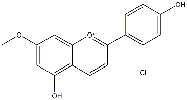 METHOXYAPIGENINIDIN CHLORIDE, 7-(RG) 结构式