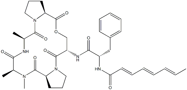 A 54556B 结构式