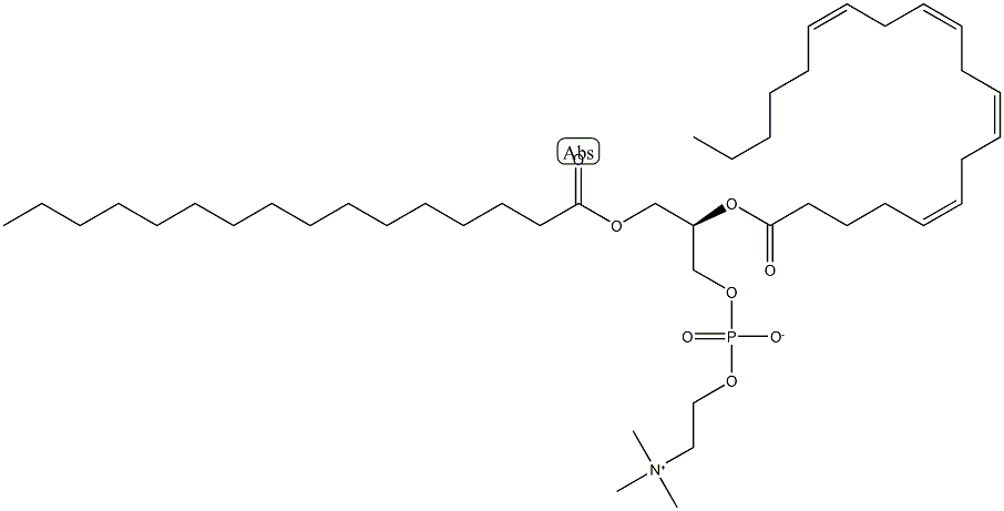 L-Α-磷脂酰胆碱 Β-花生四烯酰-Γ-棕榈酰 结构式