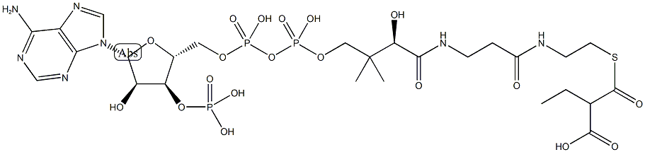 ethylmalonyl-coenzyme A 结构式