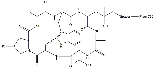 鬼笔环肽-IFLUOR 750标记 结构式