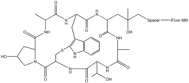 鬼笔环肽-IFLUOR 680标记 结构式